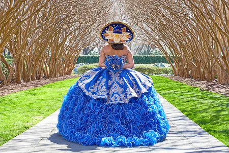 XV Años - Salon de Fiestas en Querétaro - Los Framboyanes 450X302