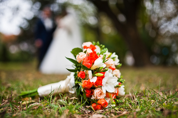 jardines-para-eventos-en-el-pueblito-queretaro-Salon-de-Fiestas-en-Queretaro-Los-FramboyanesSalon-de-Fiestas-en-Queretaro-Los-Framboyanes-600x399 jardines-para-eventos-en-el-pueblito-queretaro-Salon-de-Fiestas-en-Queretaro-Los-FramboyanesSalon-de-Fiestas-en-Queretaro-Los-Framboyanes-600x399